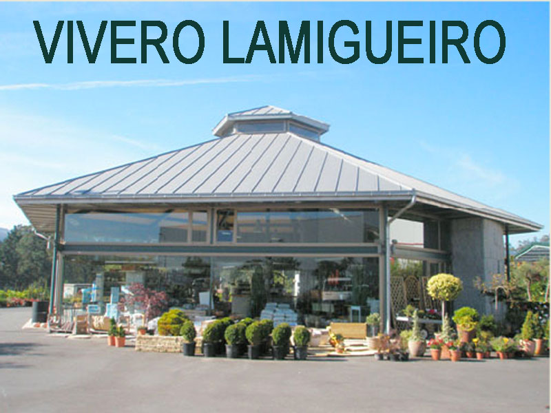 VIVERO LAMIGUEIRO SL